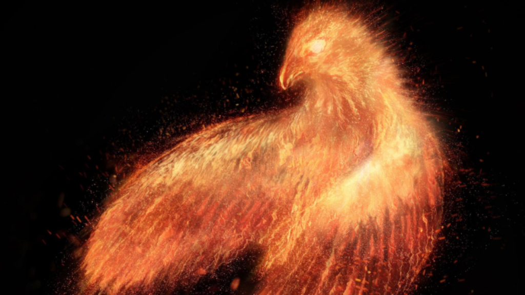 Zdjęcie feniksa — symbolika odrodzenia i duchowej transformacji