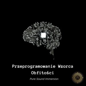 Okładka albumu: Przeprogramowanie Wzorca Obfitości - Kompletny System